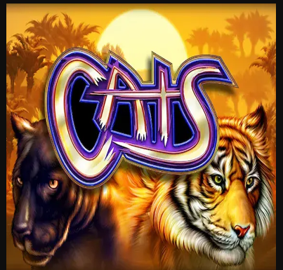 Cats